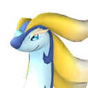 Broncherry Aqua Pal portrait