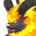 Blazehowl Pal portrait
