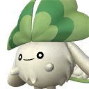 Clovee Pal portrait