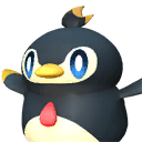 Pengullet Lux Pal portrait