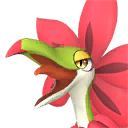 Tropicaw Pal portrait