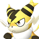 Sparkit Pal portrait