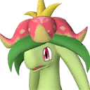 Dinossom Pal portrait