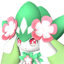 Petallia Pal portrait