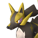 Rayhound Pal portrait